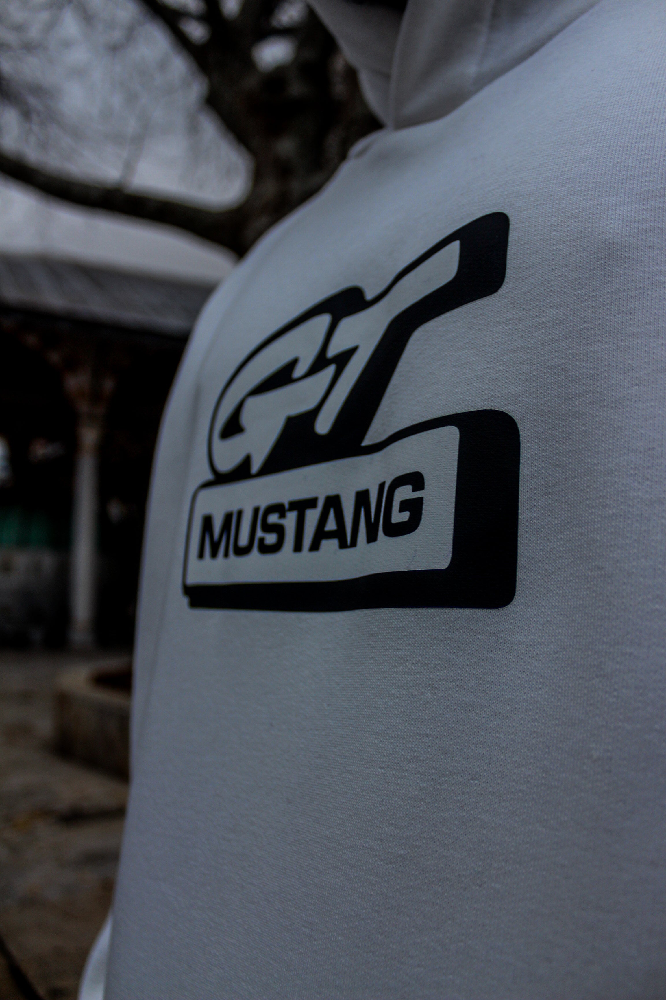Ford GT Mustang 🏎 — view 3