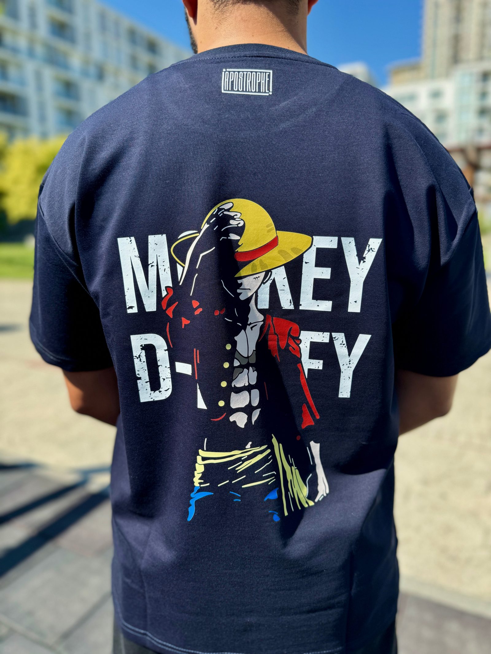 Monkey D.luffy — view 2